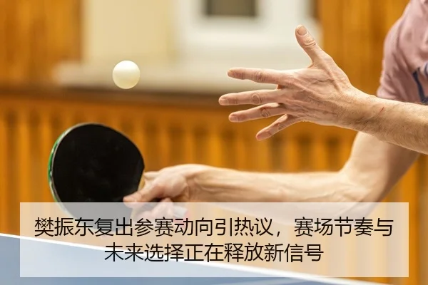 樊振东复出参赛动向引热议，赛场节奏与未来选择正在释放新信号